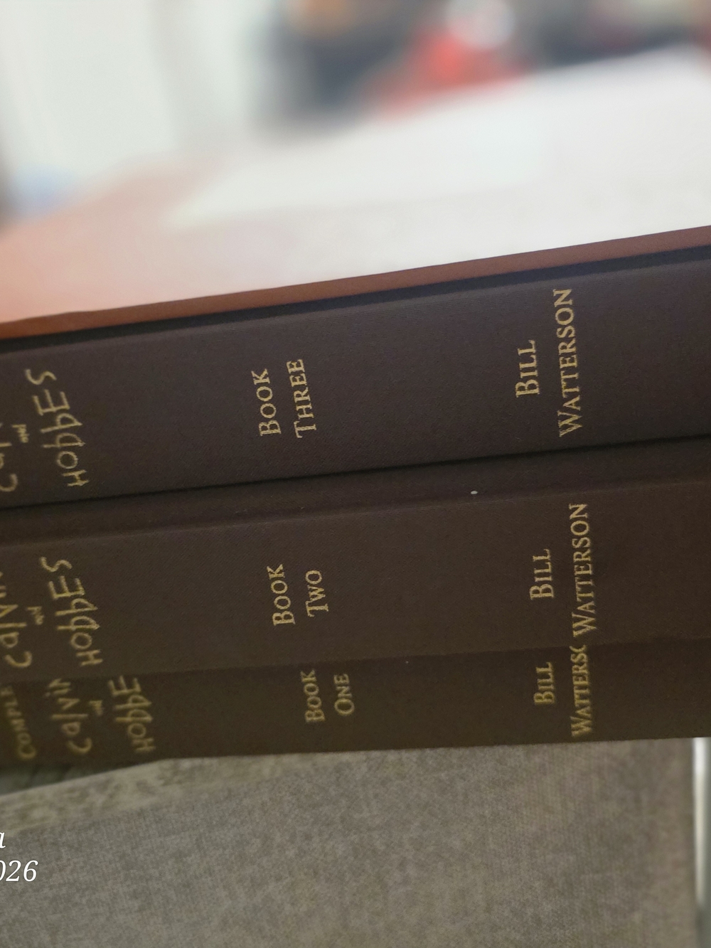 Classic Brown Decorative Book Set - Gary Larson 2 Sets Total 7 Books